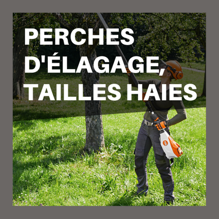 tailles haies en utilisation