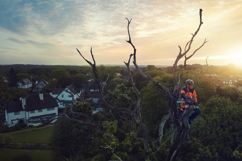 Tronçonneuse élagueuse à batterie professionnelle - HUSQVARNA T540iXP