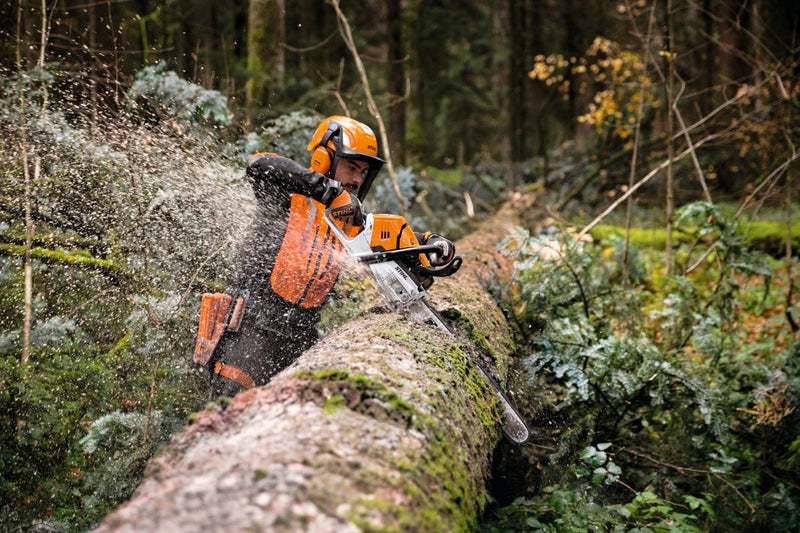 Tronçonneuse thermique STIHL MS 500i en utilisation