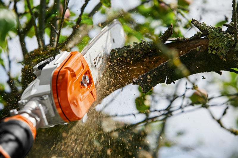 Perche d'élagage à batterie professionnelle - STIHL HTA 135