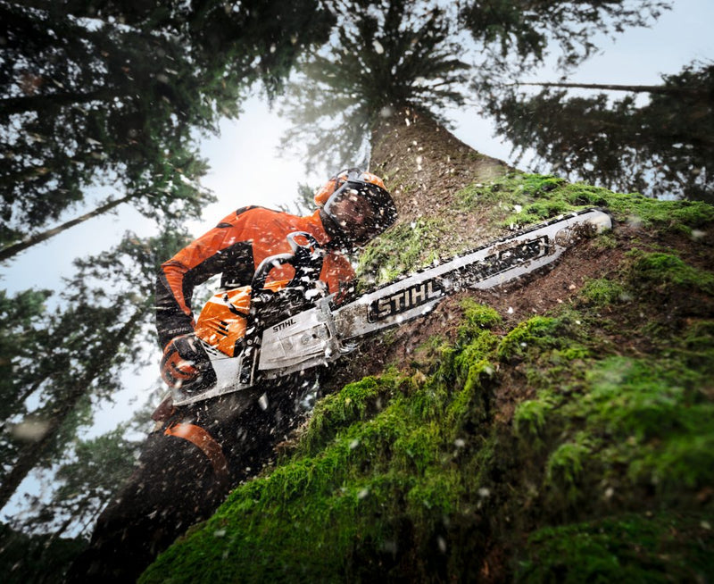 Tronçonneuse thermique STIHL MS 500i en utilisation sur un arbre