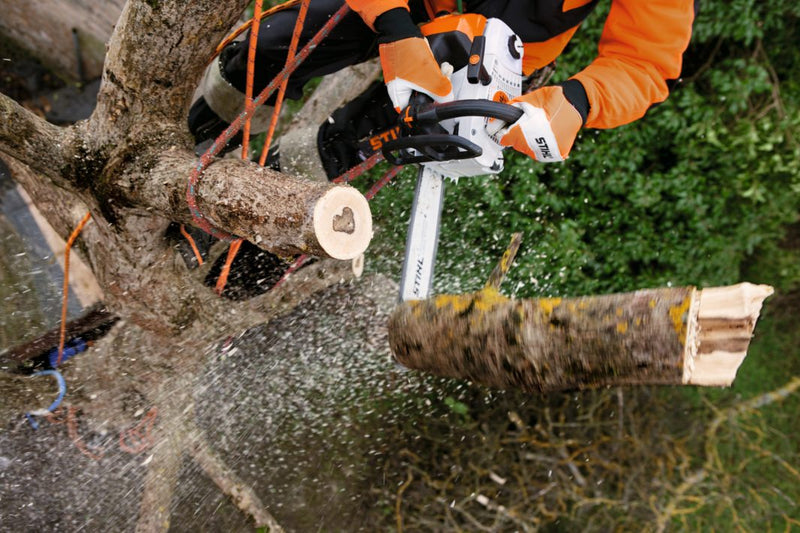 Tronçonneuse thermique STIHL MS 201 TC-M en coupe de bois